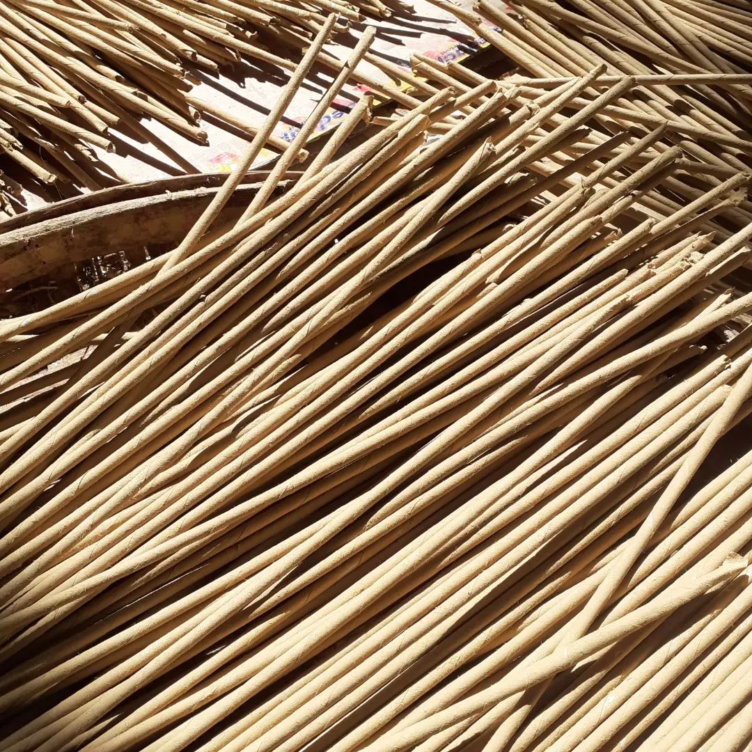 Snapinsta.app 305190957 592168229311703 3221557921678146079 N 1080